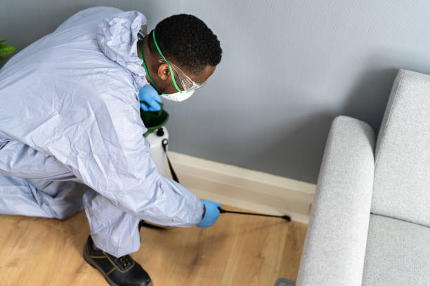 Best Residential Pest Control  in Ocean Grove, NJ